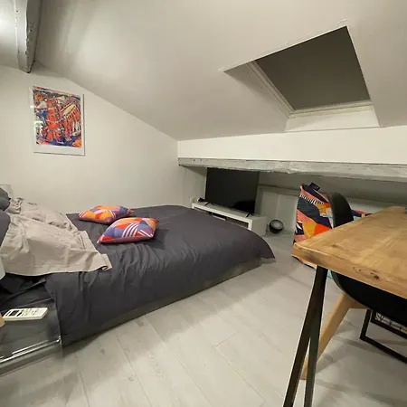 Appartement Au Pigeonnier : Hyper Centre + Clim + Parking Gratuit Albi