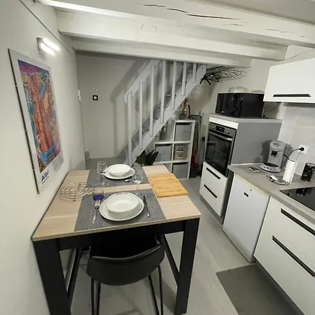 Au Pigeonnier : Hyper Centre + Clim + Parking Gratuit Apartament Albi